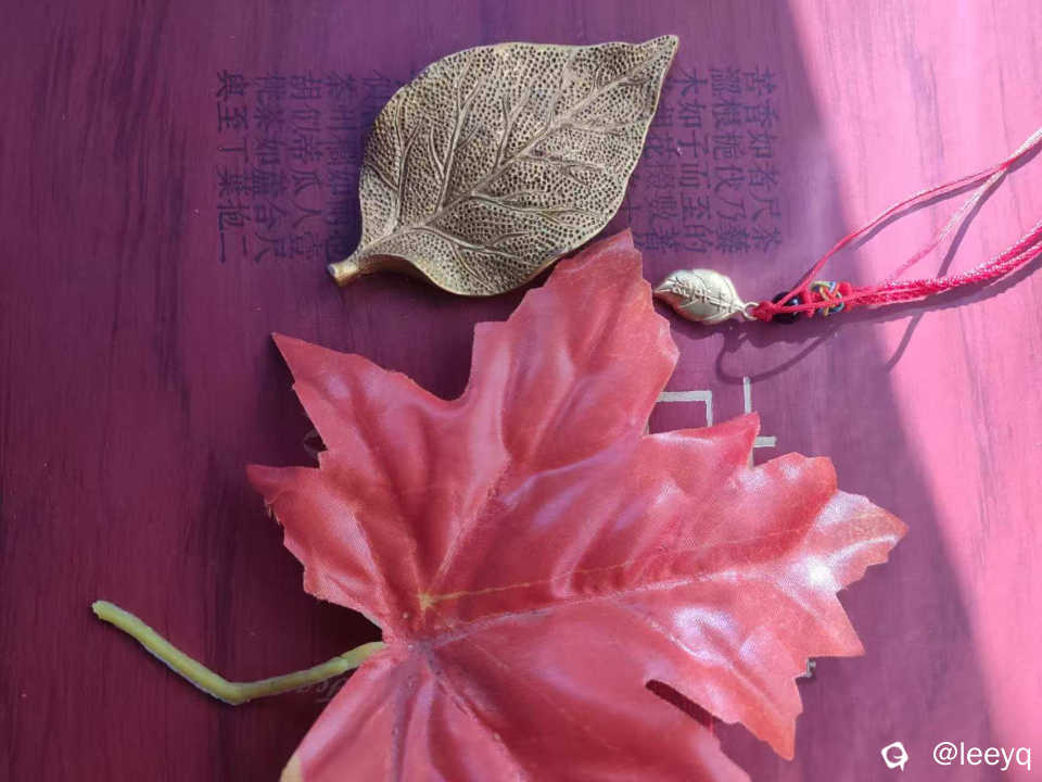微信图片_20251128113308_187_59.jpg