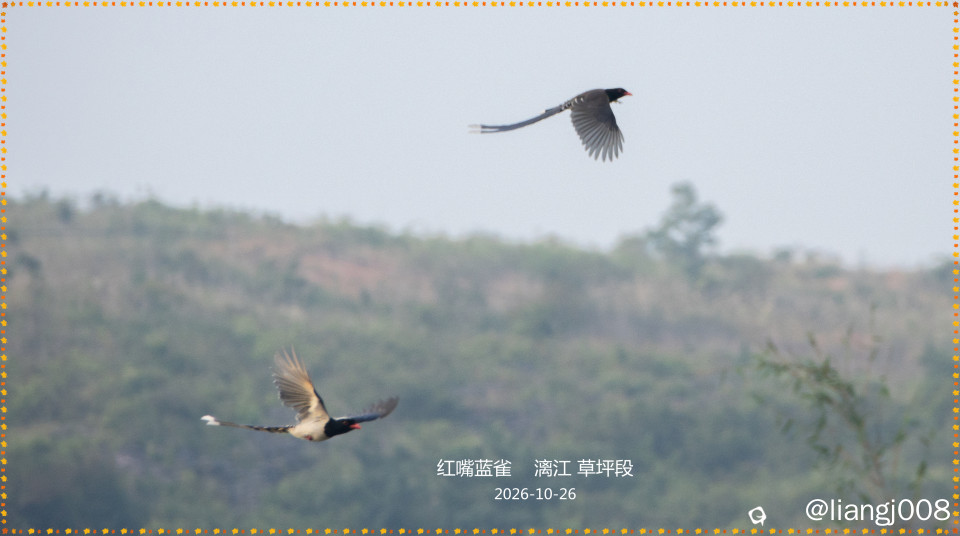 DSC02234_副本.jpg