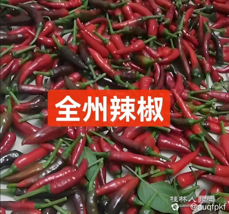 微信图片_20250604120037_705.jpg