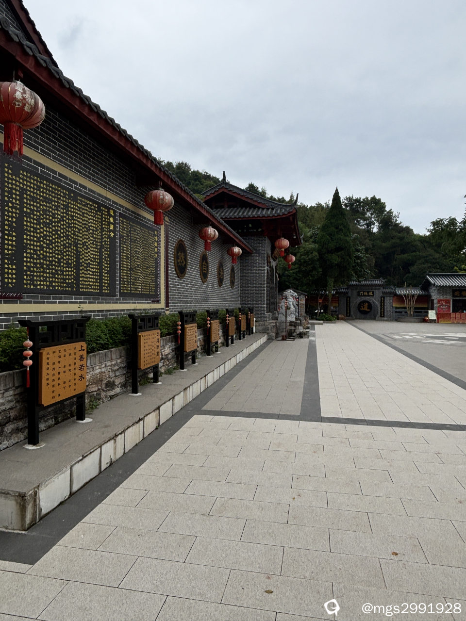 5ae235c6-4f65-476b-ce6d-cf2833fc60b4.jpg