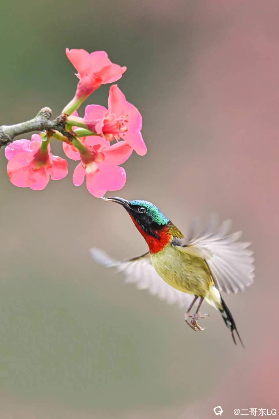 DSC_1302_副本.jpg