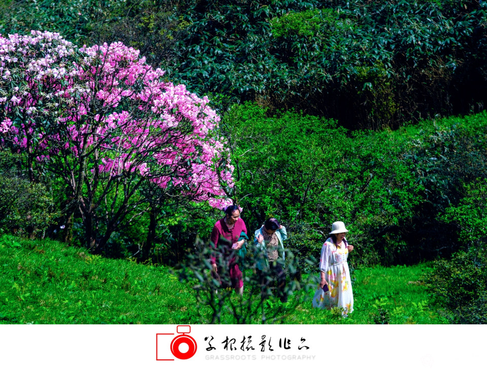 _DSF4977 拷贝_副本.jpg