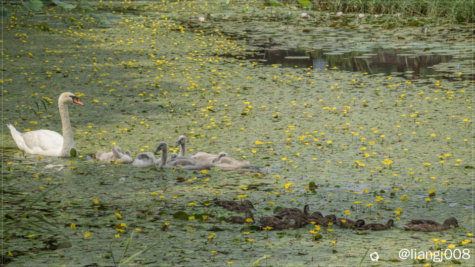 DSC01621_副本_副本.jpg