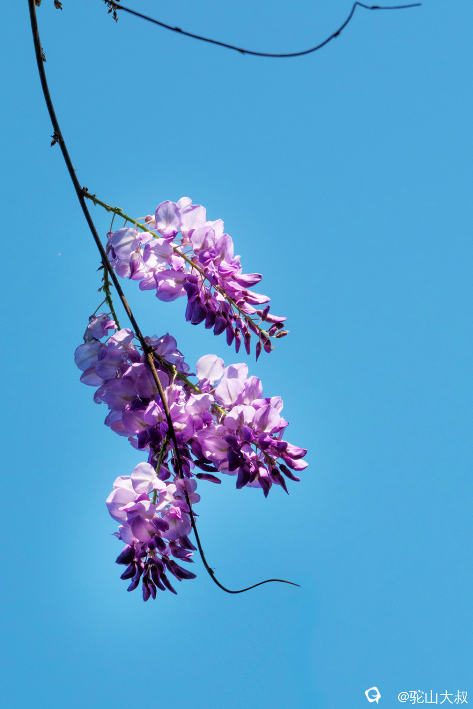 DSC01538-0 - 副本.jpg