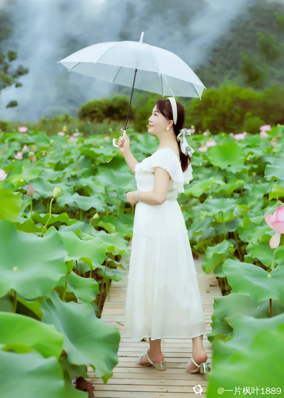 7Y8A8428.jpg