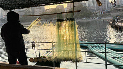 我的2025：平淡如水生活里也有自己的精彩