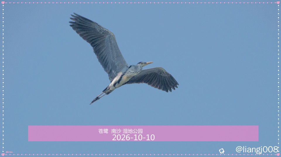DSC01545_副本.jpg