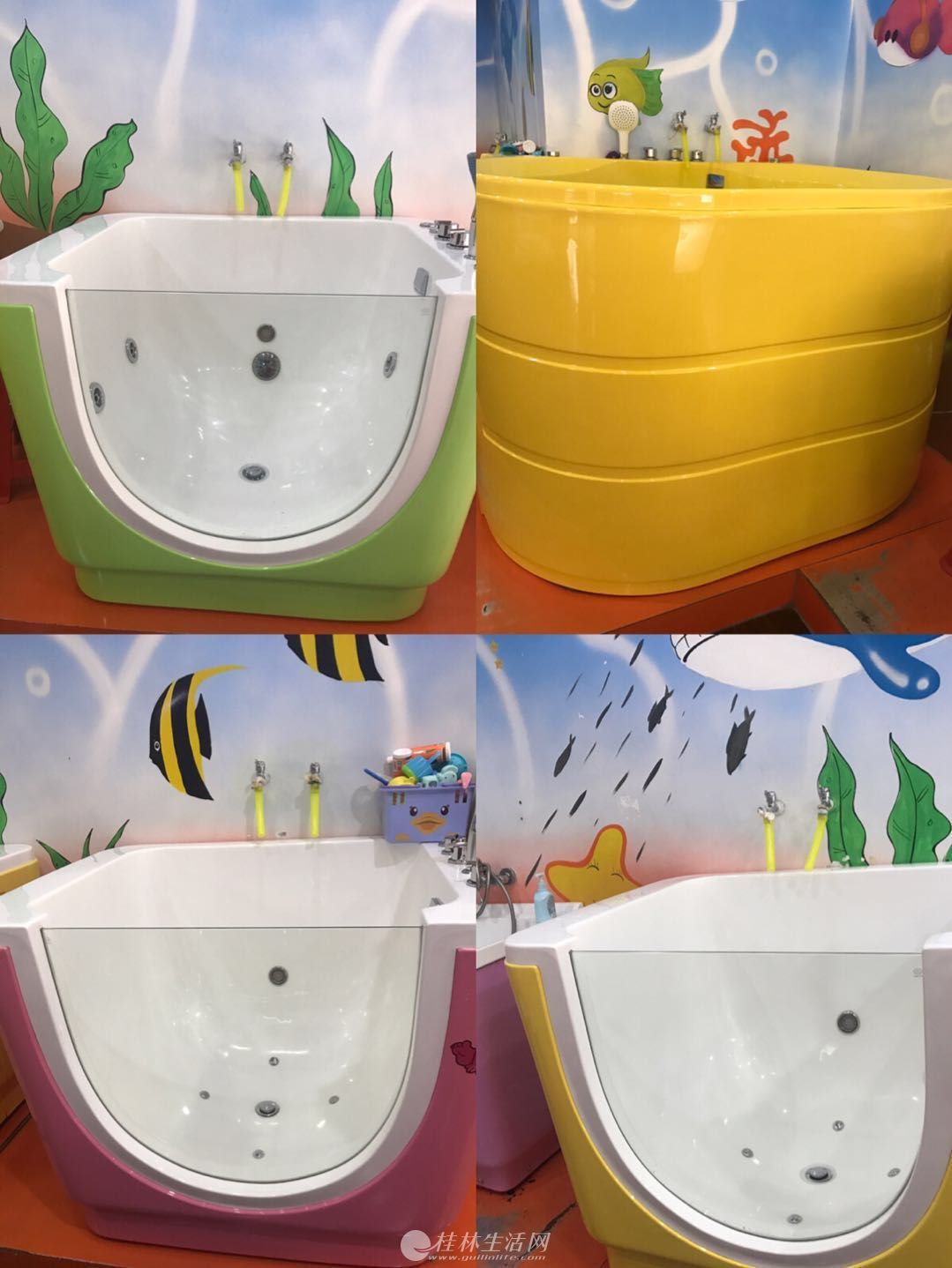 ����ַ����ض�ĸӤ��ת�� ��Ӿ��ת�� ��Դ�ȶ�