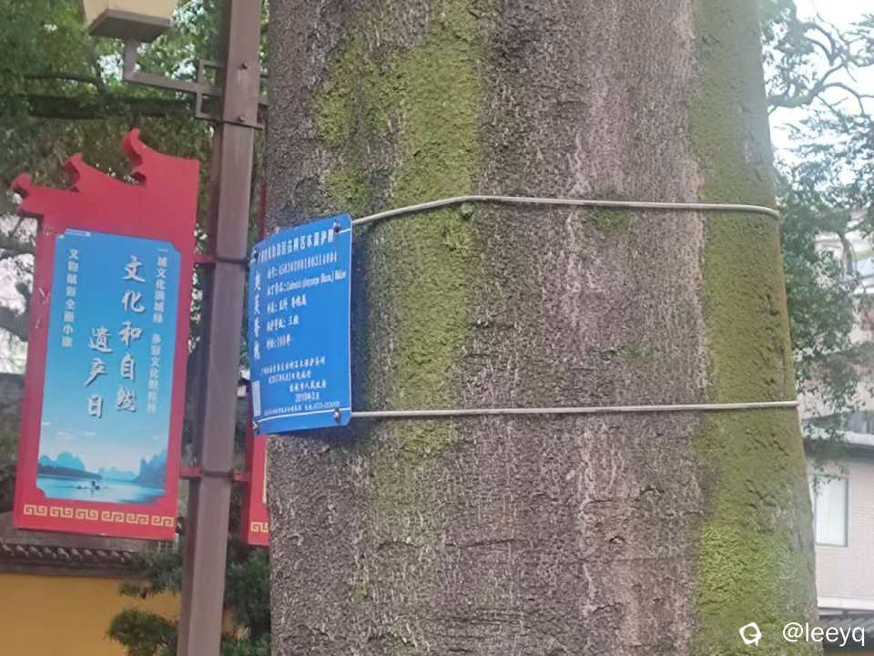 微信图片_20260519181723_79_117.jpg
