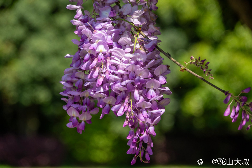 DSC01530-0 - 副本.jpg