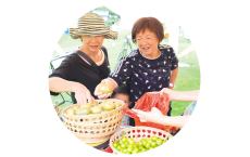 &ldquo;漓江优品&rdquo;桂林供销大集激活农产品消费新场景