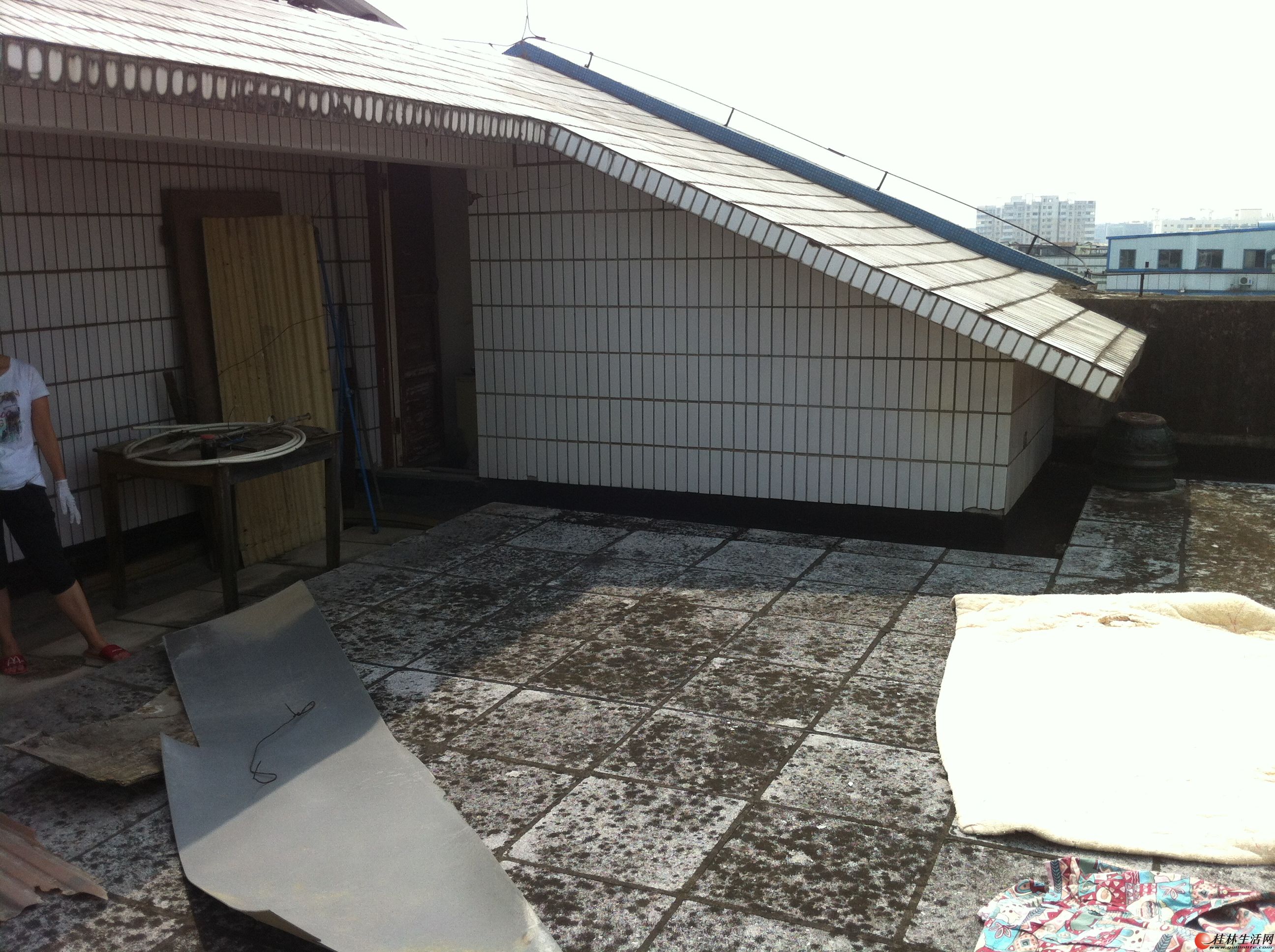 ����꡾���С����2��2�� 79�O ��һ����һ�� ����¥ 03�� ����ֵ����