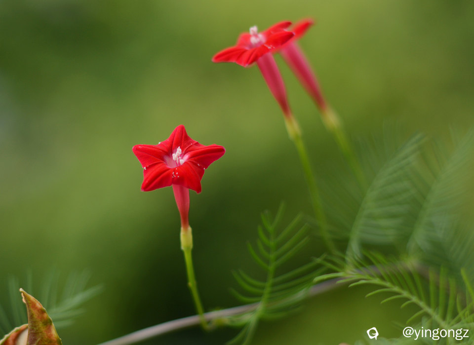 DSC_3757_副本.jpg