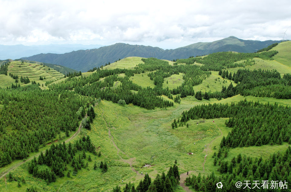 DJI_0592_副本.jpg