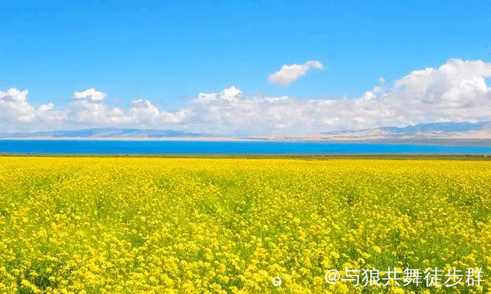 截图202405190001108294.png