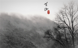 品茶时间