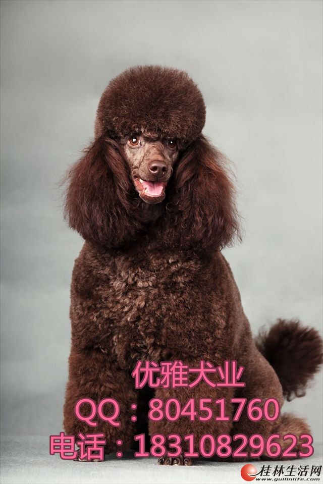 	 ���ֲ豭�������߹������������ǩ������Э��