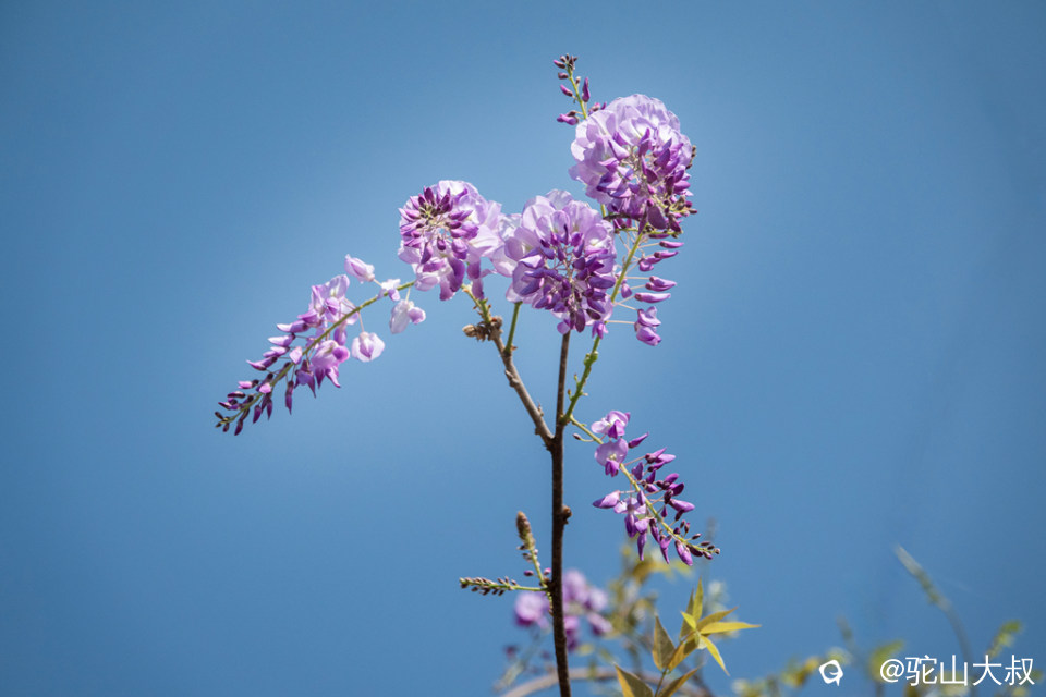 DSC01529-0 - 副本.jpg