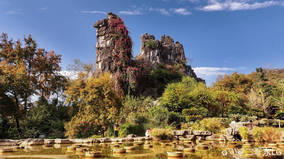 骆驼赤霞 (15).jpg