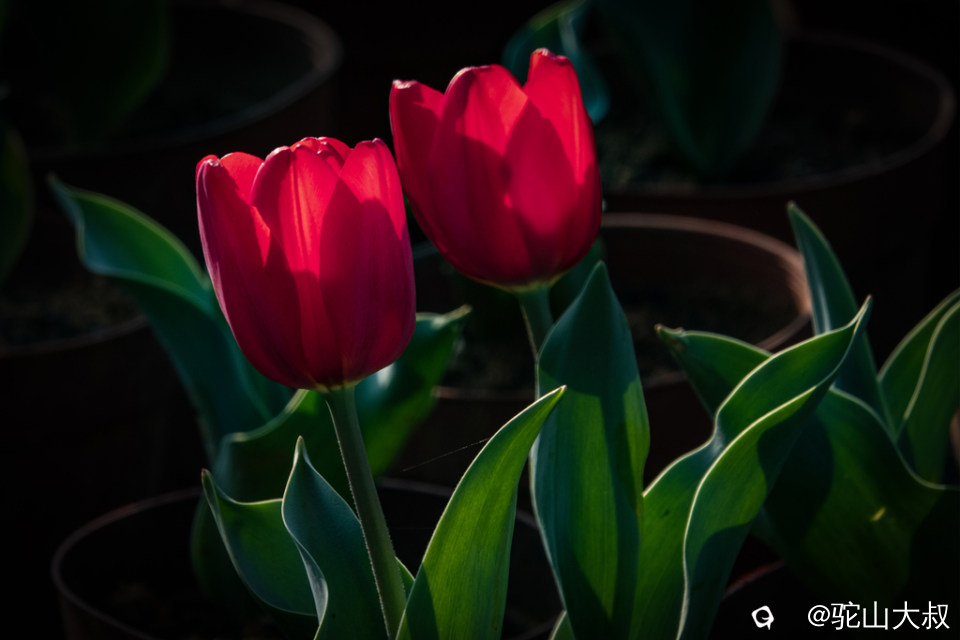 DSC05212-0 - 副本.jpg