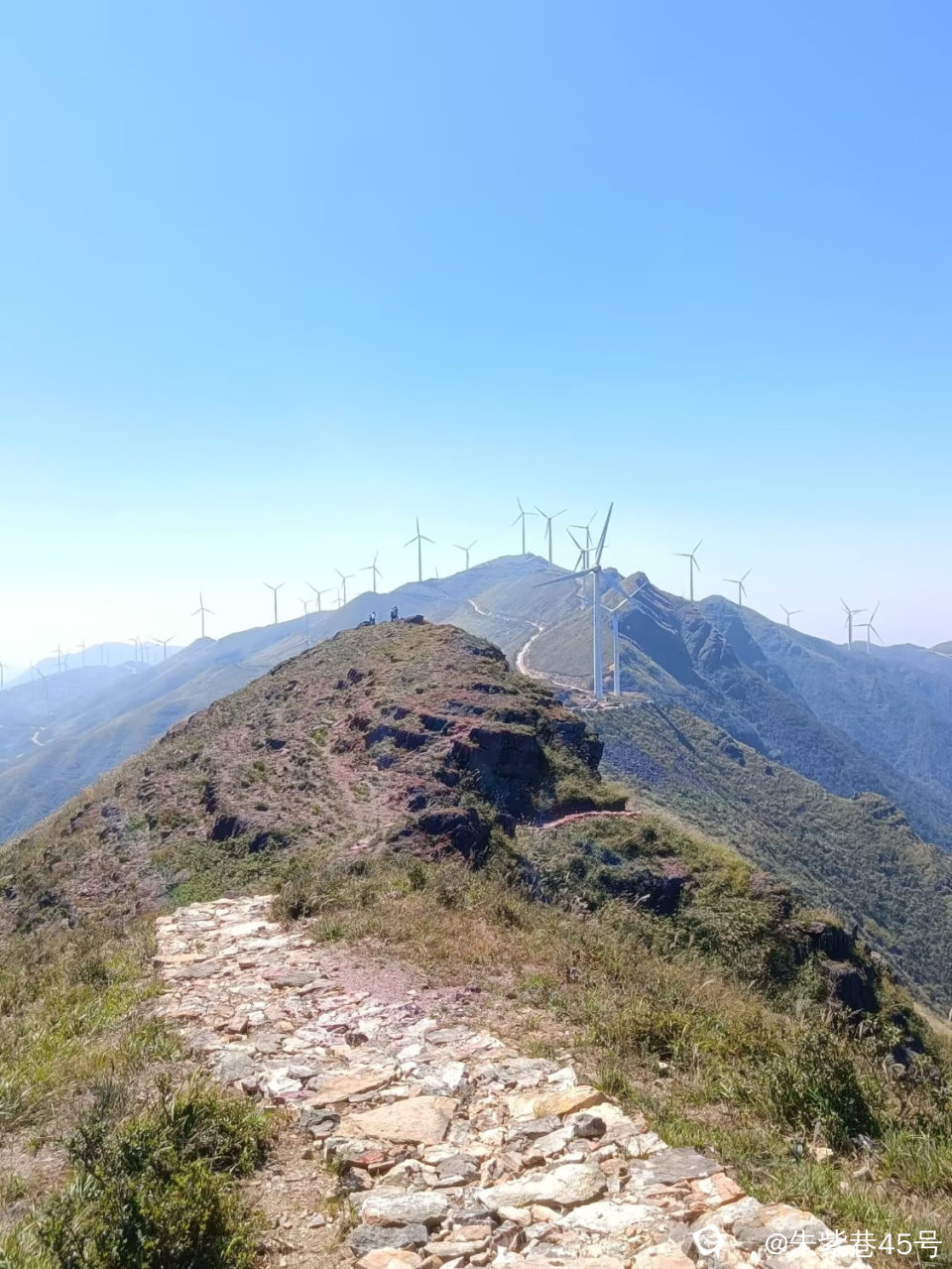 Image_1728319162067.jpg