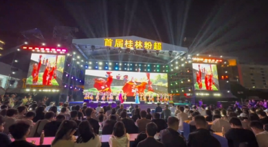 桂林&ldquo;粉超&rdquo;民族之夜盛典:民族团结进步宣传月文艺展演精彩上演