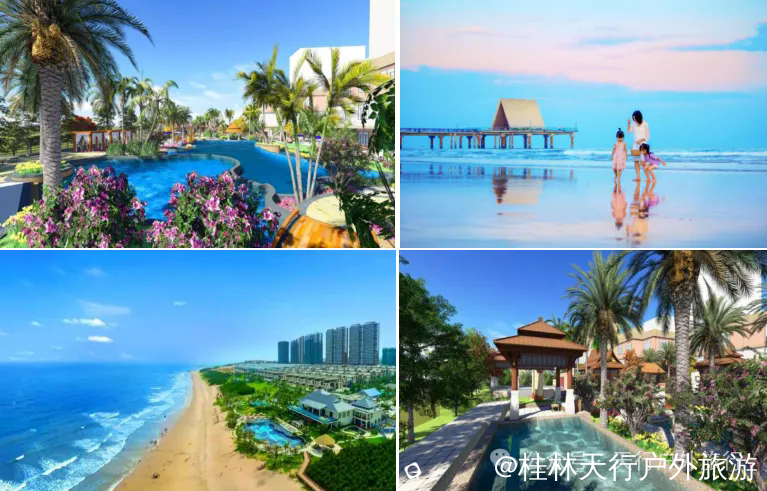 640.webp (1).png