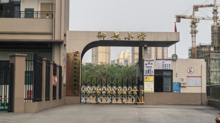 在临桂区发现一所新的公立小学