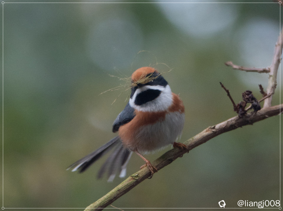 DSC071041_副本.jpg