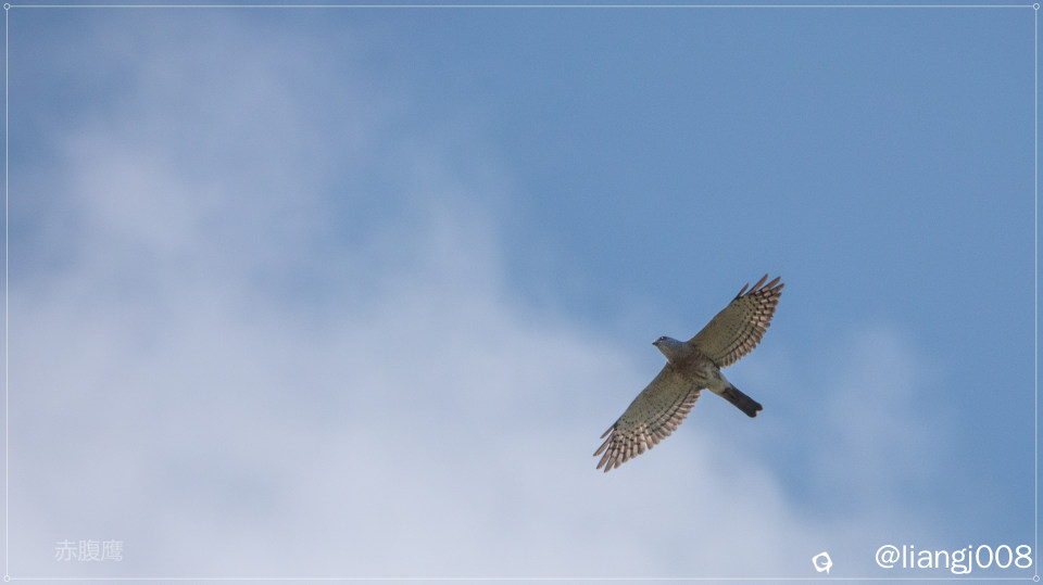 DSC00999_副本.jpg