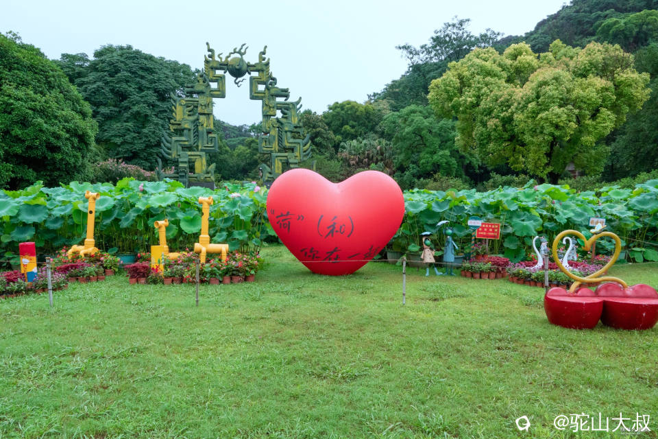 DSC09505-0_副本.jpg