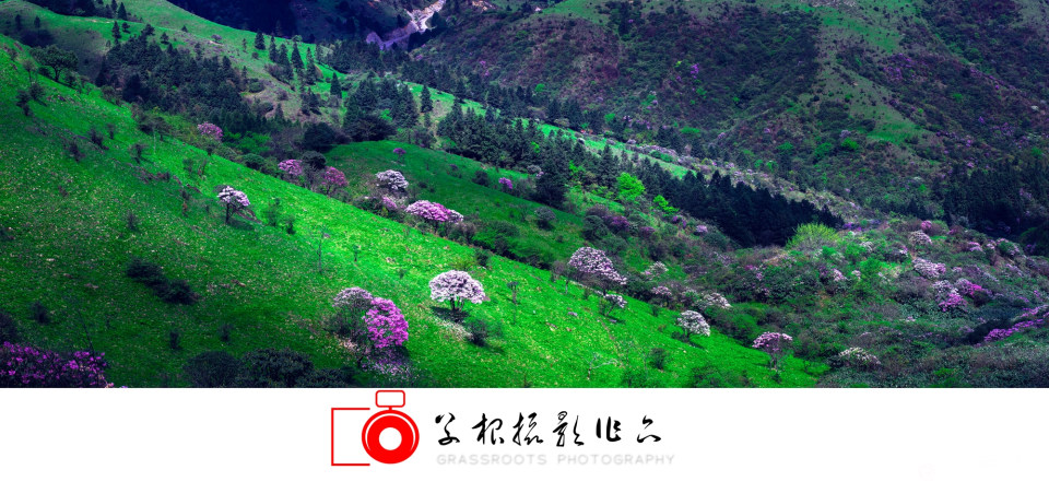 _DSF5066-Pano 拷贝1_副本.jpg