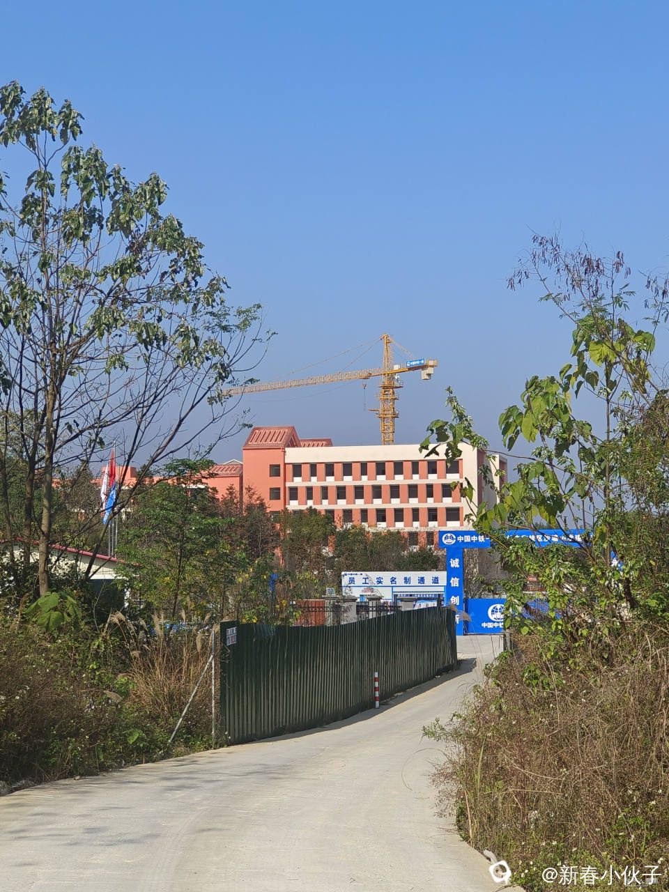 通往学校的水泥路