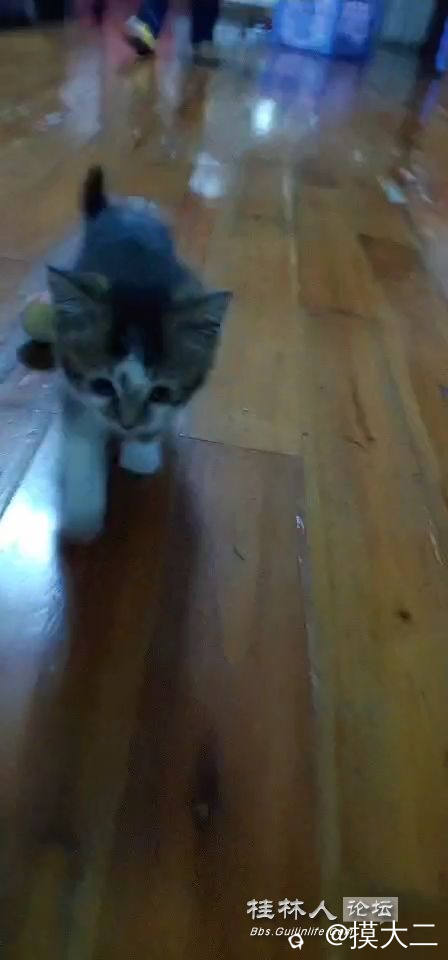 WeChat_20250114071744.mp4_snapshot_00.06.jpg