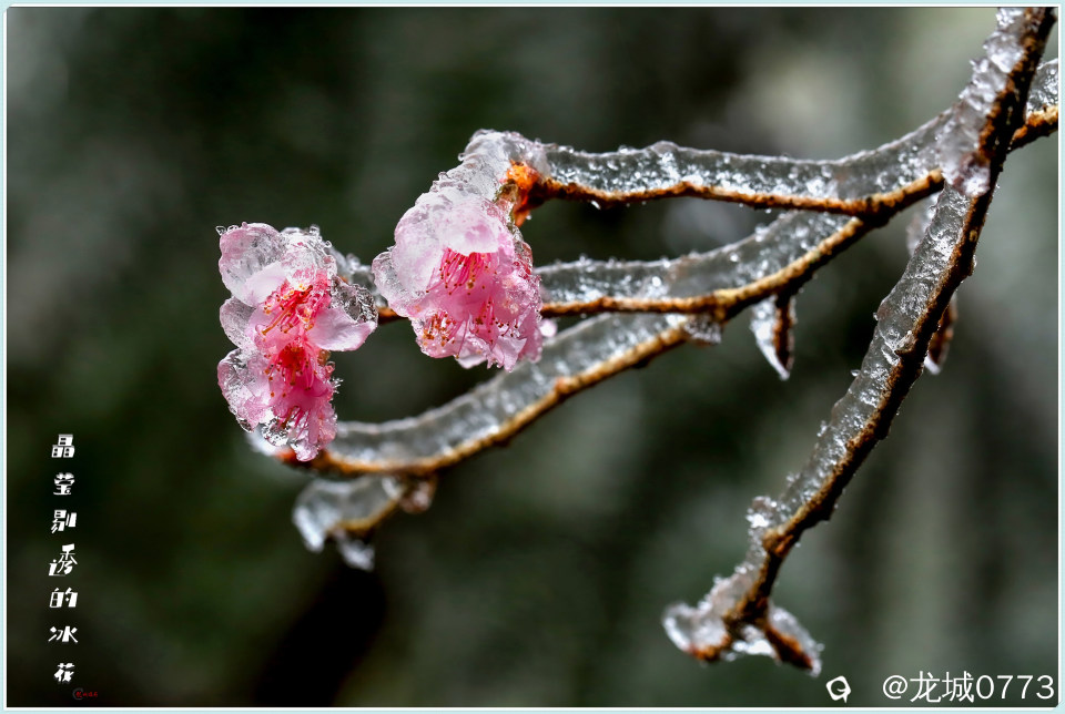 1X4A2612-pp.jpg