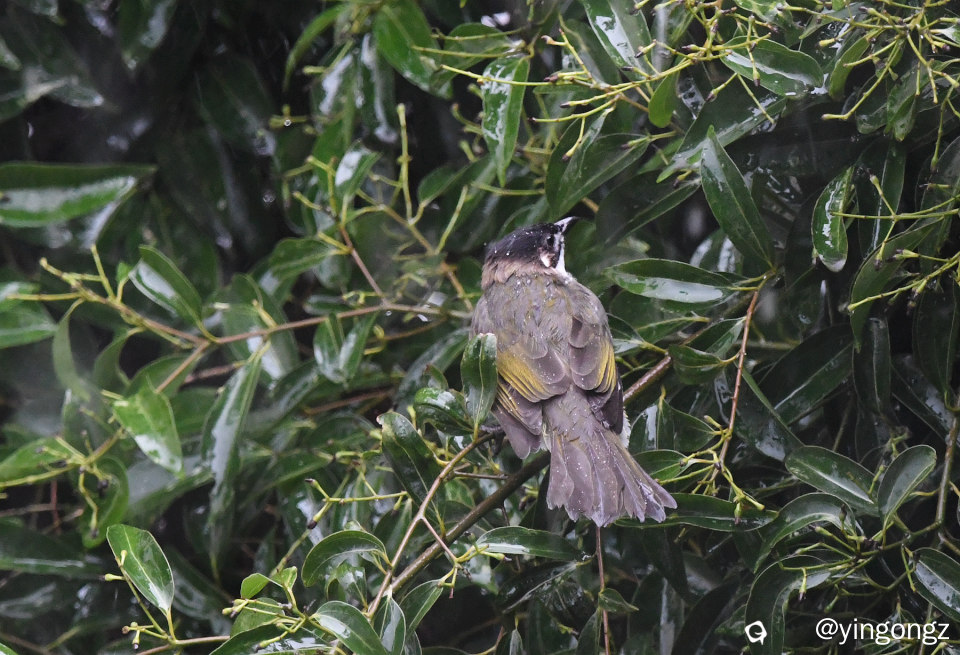 DSC_7627_副本.jpg