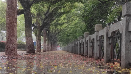 这里有一条五彩斑斓的路