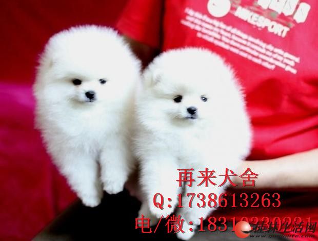	 ���ֲ��� ���������岩�� ��ë��������Ȯ �ͼ۴���