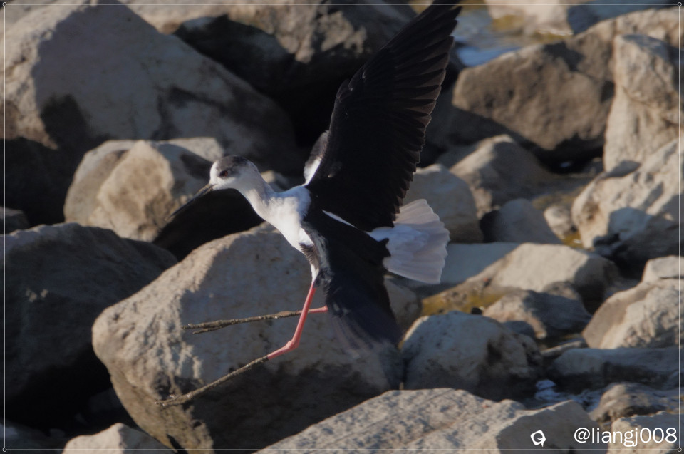 DSC05102 - 副本.JPG