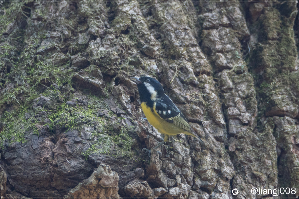 DSC08859_副本_副本.jpg
