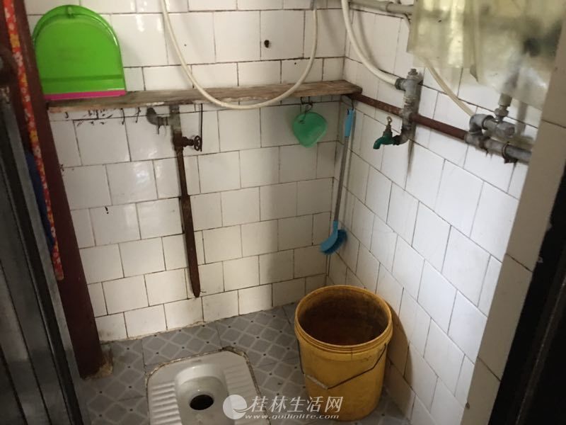��ȺСѧ13��ѧ �Ļ�·˫ѧ�� ���� ��λԺ��