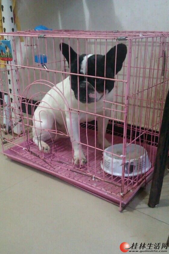 ΪĴ棬ҪţˣǮ˵