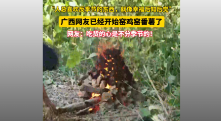吃貨的心是不分季節(jié)的！廣西網(wǎng)友已經(jīng)開始窯雞窯番薯了！