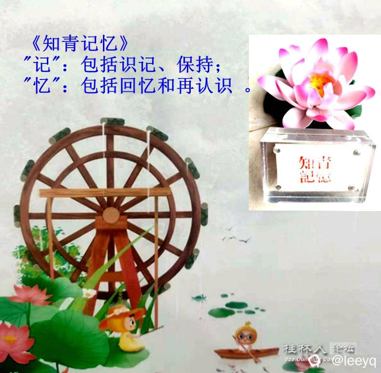 152328zy6yn72g1bgffbb6.jpg