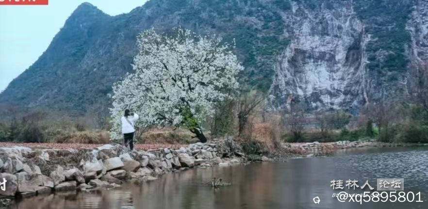 聚田梨花3