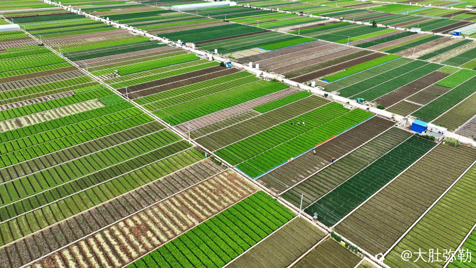 DJI_0235.jpg