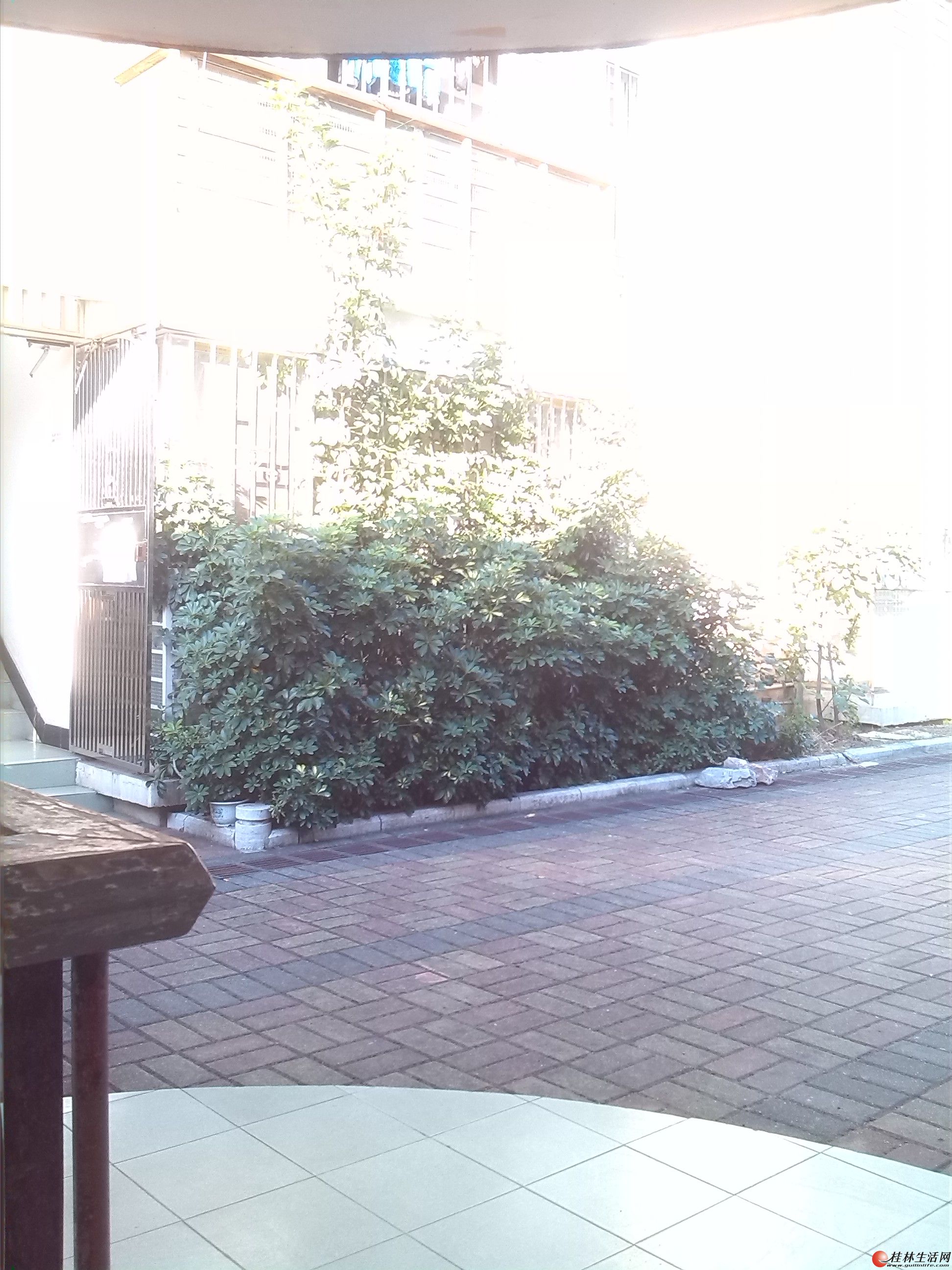 S������ ��װŷʽ�����л�԰�ͼ۳����ˣ�Īʧ����