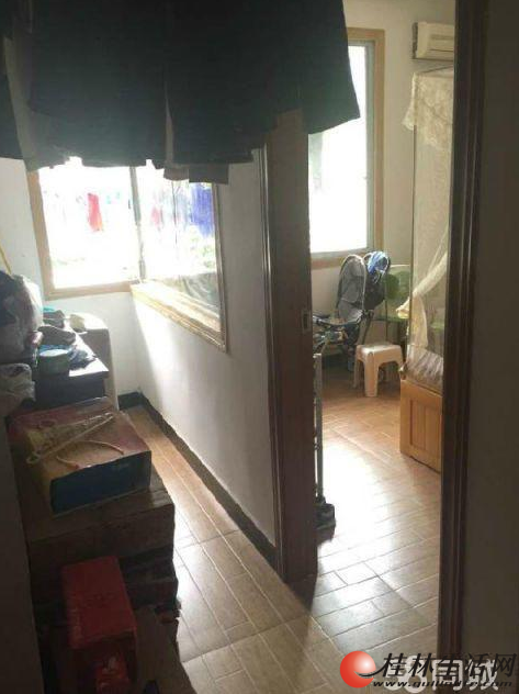 ������Сѧ��������ҽԺ����3��2��2��98�O+�����48��