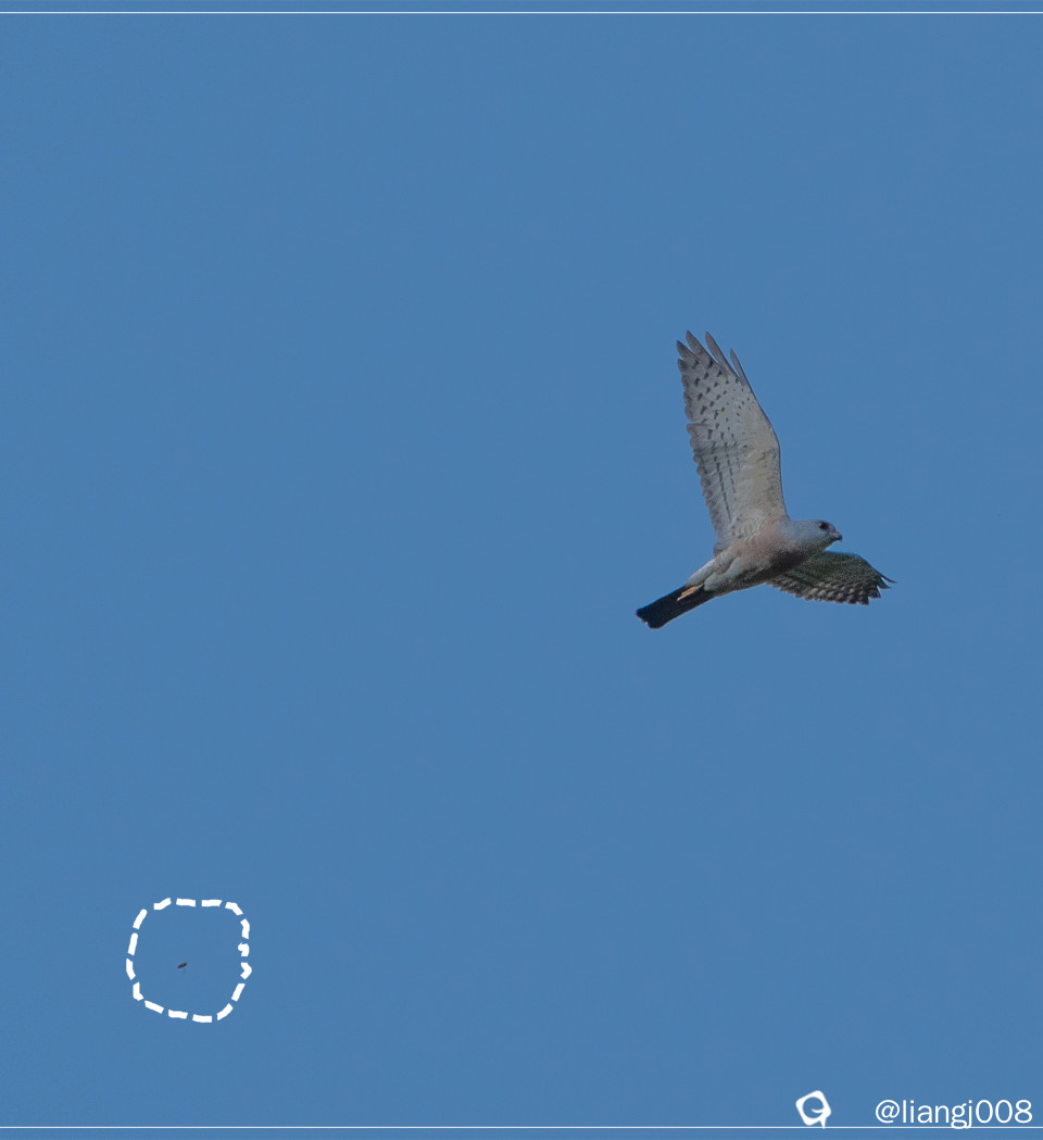 DSC00839_副本.jpg