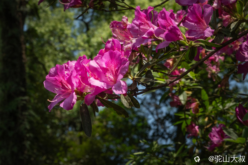 DSC01488-0 - 副本.jpg